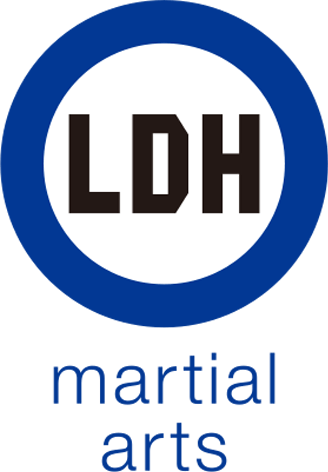 martial arts logo