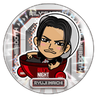 EXILETRIBE 缶バッジなど EXILE THE SECOND PERFECT LIVE 缶バッジ(全30種のうち、ランダム1種