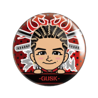 EXILETRIBE 缶バッジなど EXILE THE SECOND PERFECT LIVE 缶バッジ(全30種のうち、ランダム1種