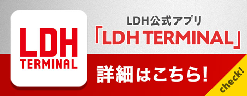 LDH TERMINAL