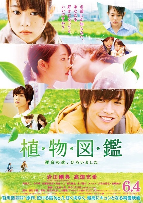 植物図鑑 岩田剛典 等身大パネル 植物図鑑」岩田剛典に拾ってと言われたら？高畑充希は「拾っちゃ