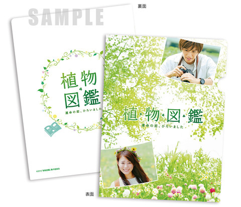 映画 植物図鑑 Blu-ray Amazon.co.jp: 植物図鑑 運命の恋、ひろいました 豪華版(初回