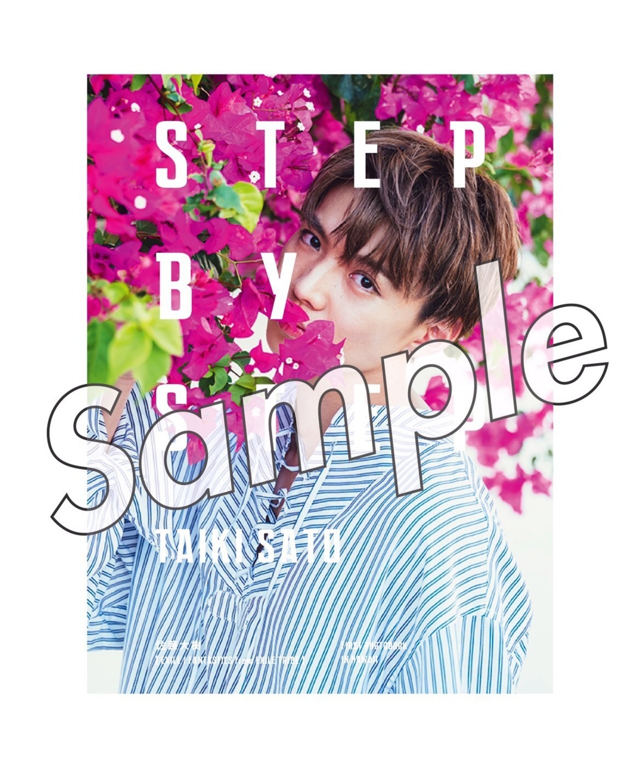 Amazon.co.jp: 佐藤大樹 サイン入り写真集 STEP BY STEP : おもちゃ