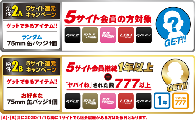 グッズ・条件詳細公開!!】E-girls PERFECT LIVE 2011▷2020