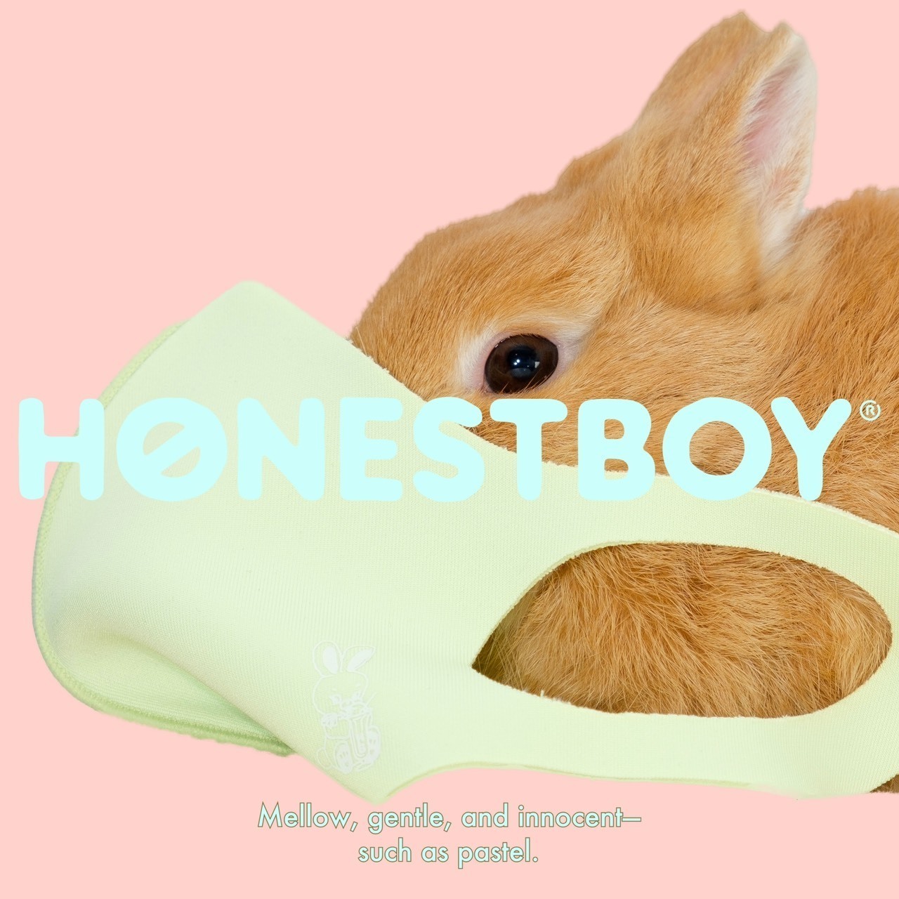 HONESTBOY® BY STUDIO SEVENから話題の「PASTEL MASK」とコラボマスク 