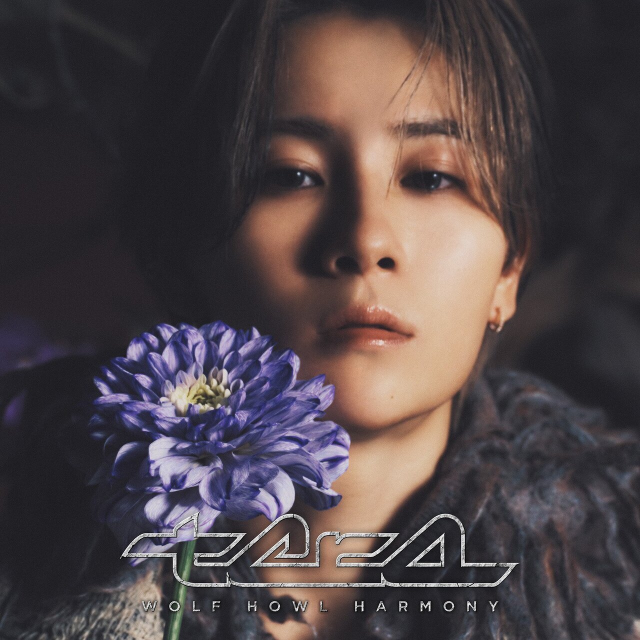 WOLF HOWL HARMONY アルバム HIROTO ver. WOLF HOWL HARMONY アルバム HIROTO ver. 【公式通販】